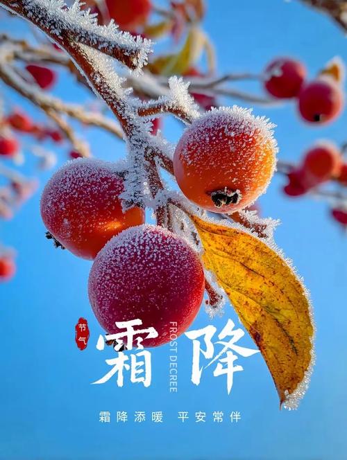 霜露是哪个月的？寒露和霜降分别属于哪个季节？