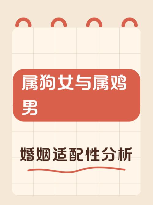 属狗女和属鸡男结婚，他们的婚姻会幸福美满吗？