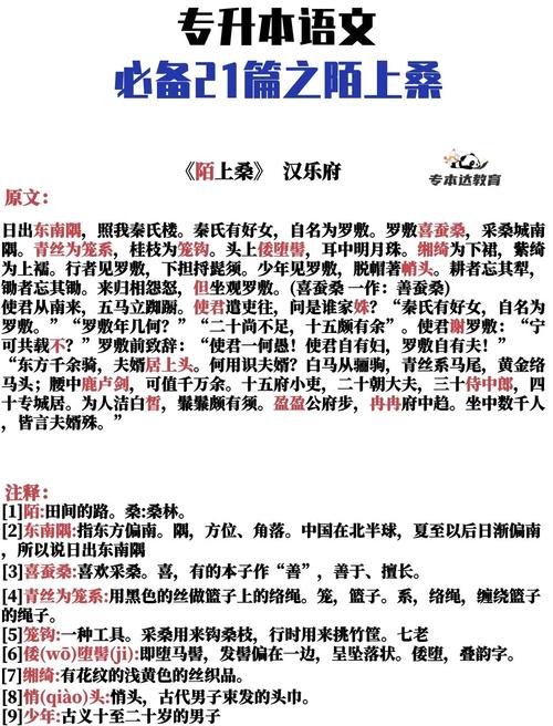 桑指指的是什么在古代文献或成语中有什么特殊含义？