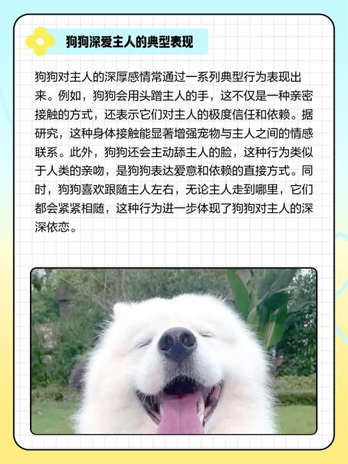 狗狗对主人感情深，通常会有哪些表现呢？