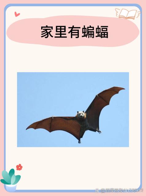 梦见蝙蝠扑来咬脖子有什么特殊预兆或含义？