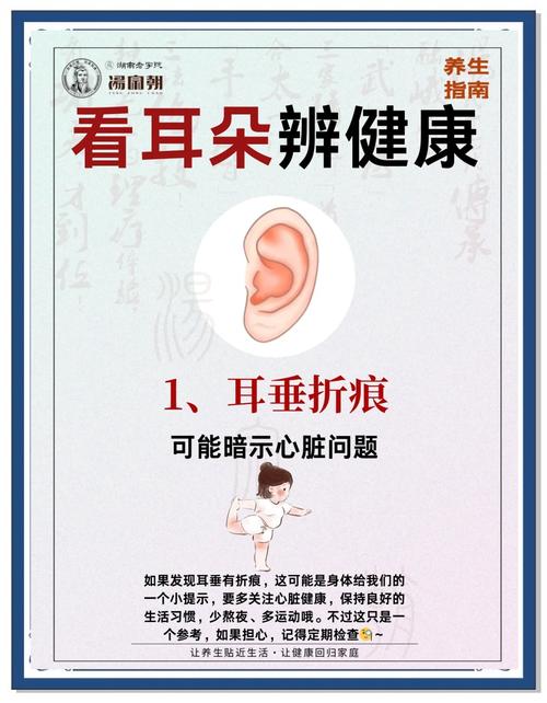 男性耳朵小是否意味着某种生理或心理特征？