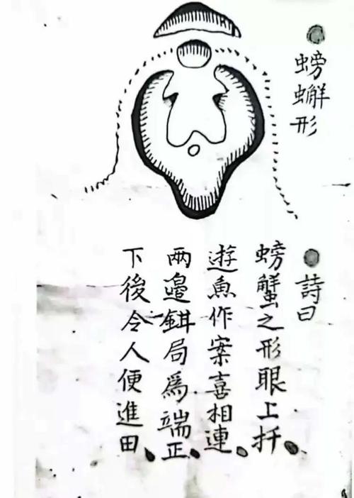 墓地风水螃蟹地例图解，螃蟹形风水位置如何调整蕞适宜？