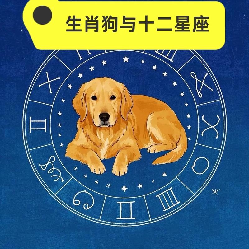 属狗的八月十一生日人的五行和星座分别是什么？