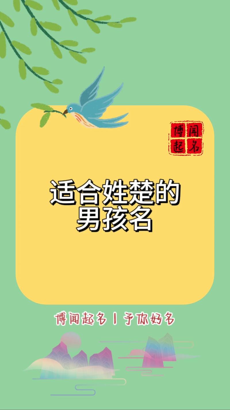 姓楚的男孩取什么名字中带有兔字比较好？