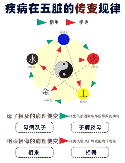 五行母子关系中的传变规律是怎样的？