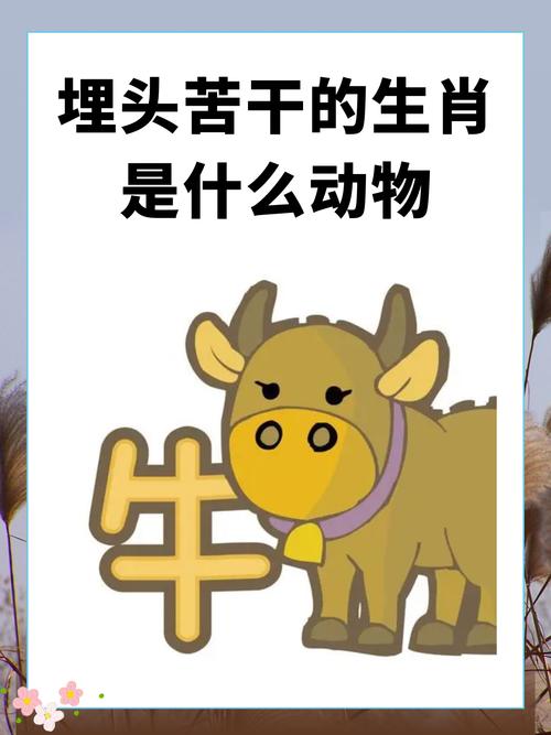 小牛耕地究竟指的是哪个生肖？