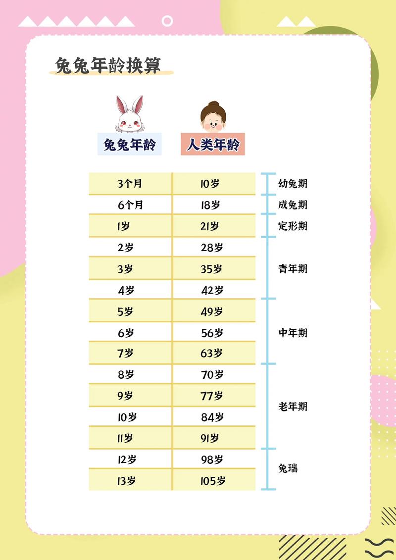 2023年十二生肖年龄对照表里我属兔今年多少岁了？
