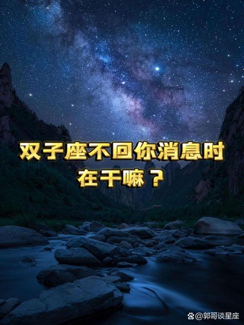 为什么双子座不回我的信息，是不是在忙或者没看到呢？