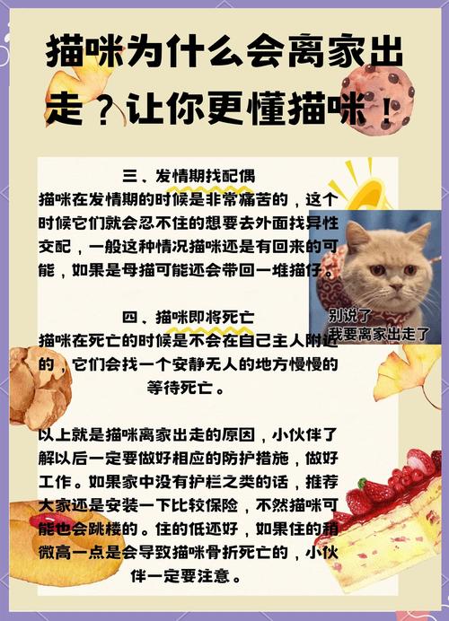 家里猫咪突然离家出走，这究竟预示着怎样的风水变化或吉凶预兆呢？