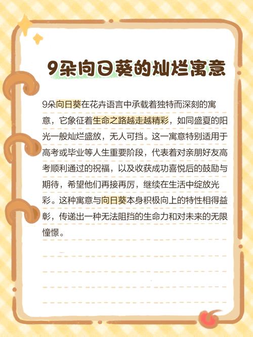 九朵向日葵花语和寓意分别是什么？