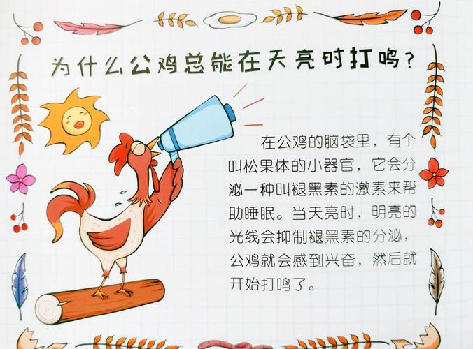 下葬前鸡叫是否为吉兆，安葬时鸡打鸣预示着什么好征兆？