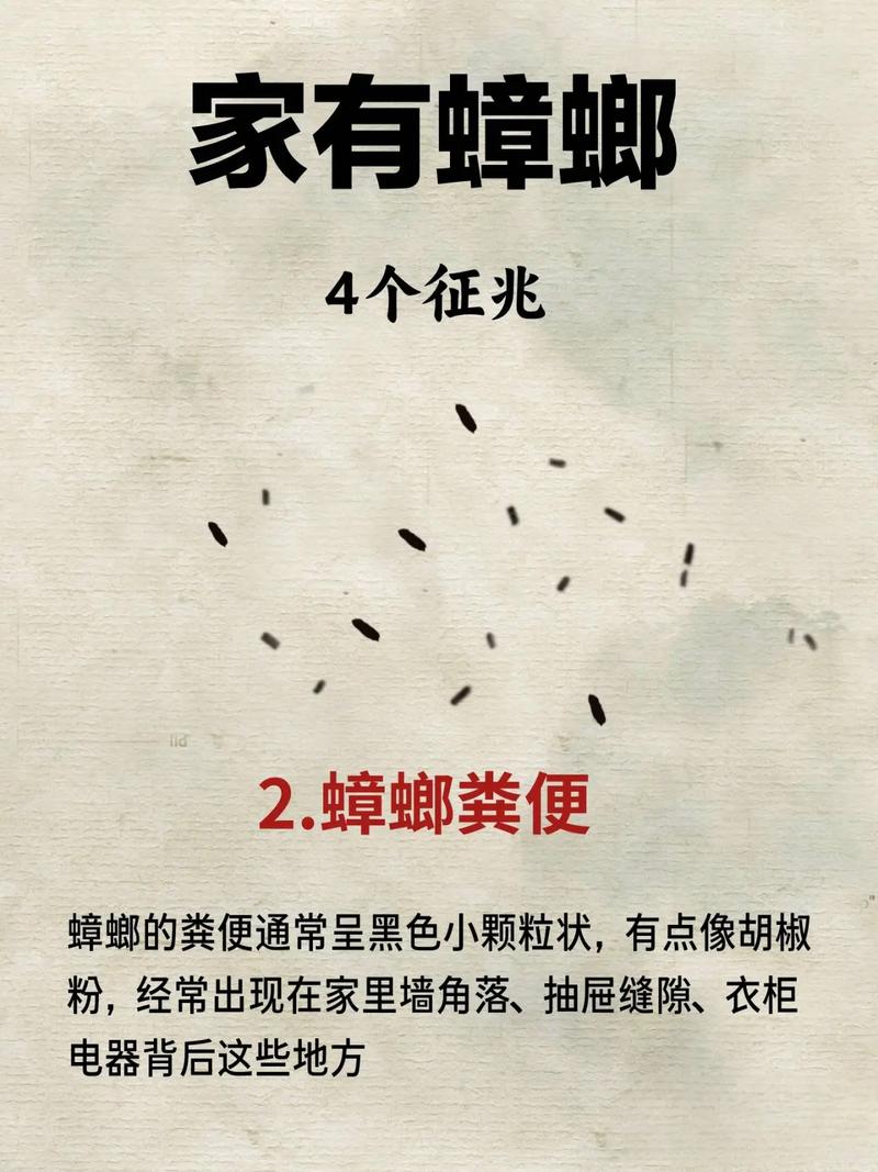 女人梦见屋里好多蟑螂是什么征兆？预示着什么不好的事情吗？