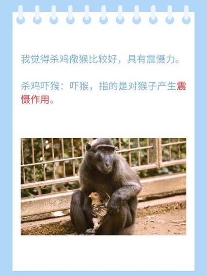 梦到杀鸡或鸡打人，能获得什么神秘奖项？