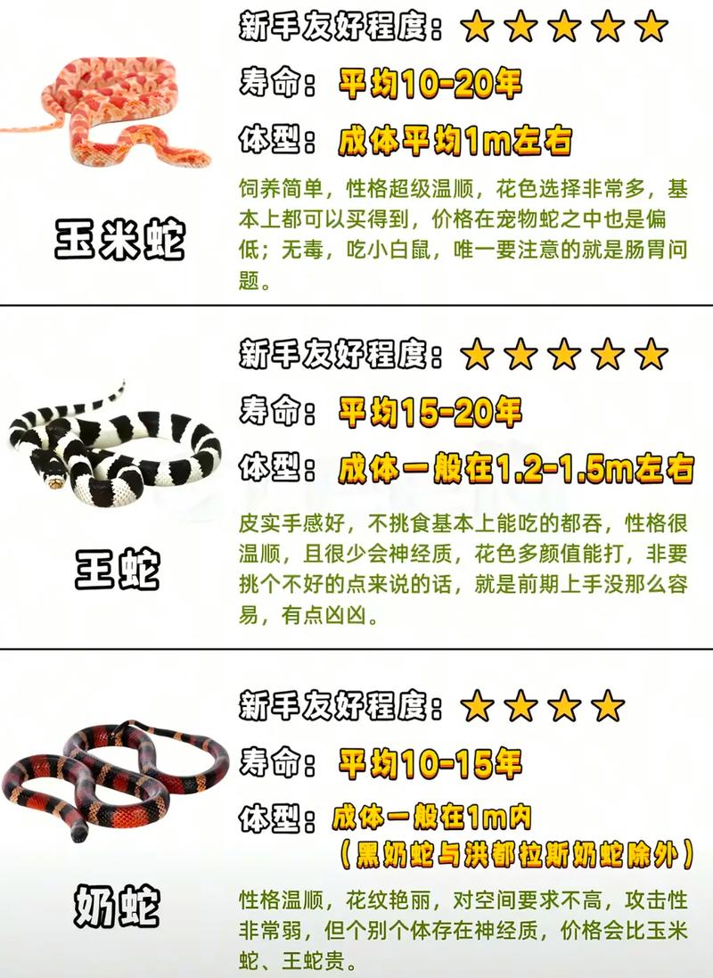 属蛇男性适合养狗吗？生肖蛇的人不宜饲养哪些宠物？
