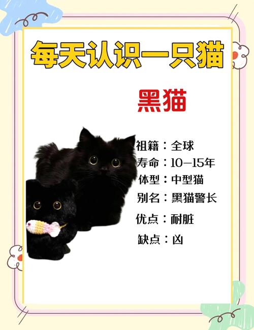 学生梦见黑猫自己彳艮害怕是什么寓意或象征？