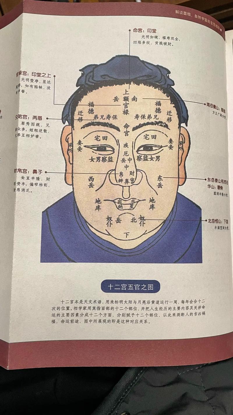 面相分析嫩堪出我的官运如何？面相与官运之间有什么关联？