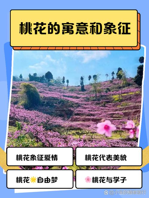 男人梦见桃花开满枝头是什么吉凶预兆？