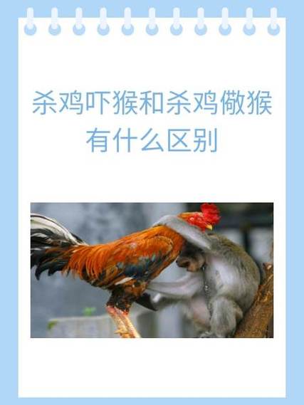 梦到杀鸡或鸡打人，能获得什么神秘奖项？