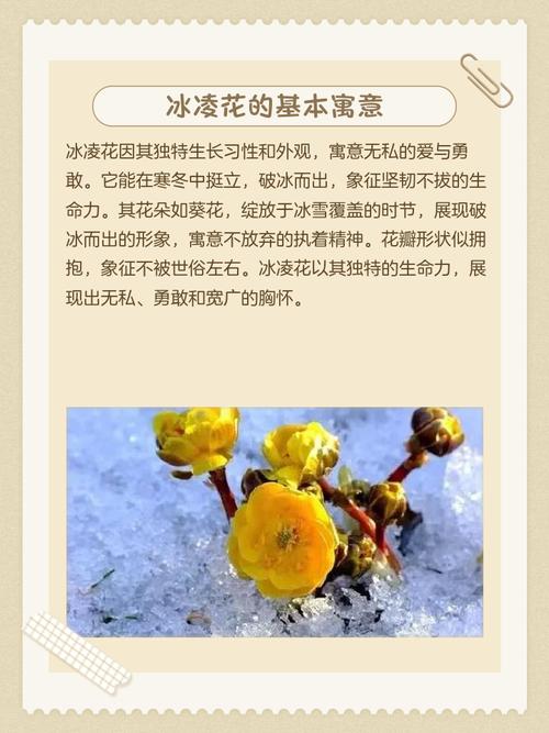 周公解梦：梦见屋檐上挂着冰凌，这究竟是什么预兆或含义？