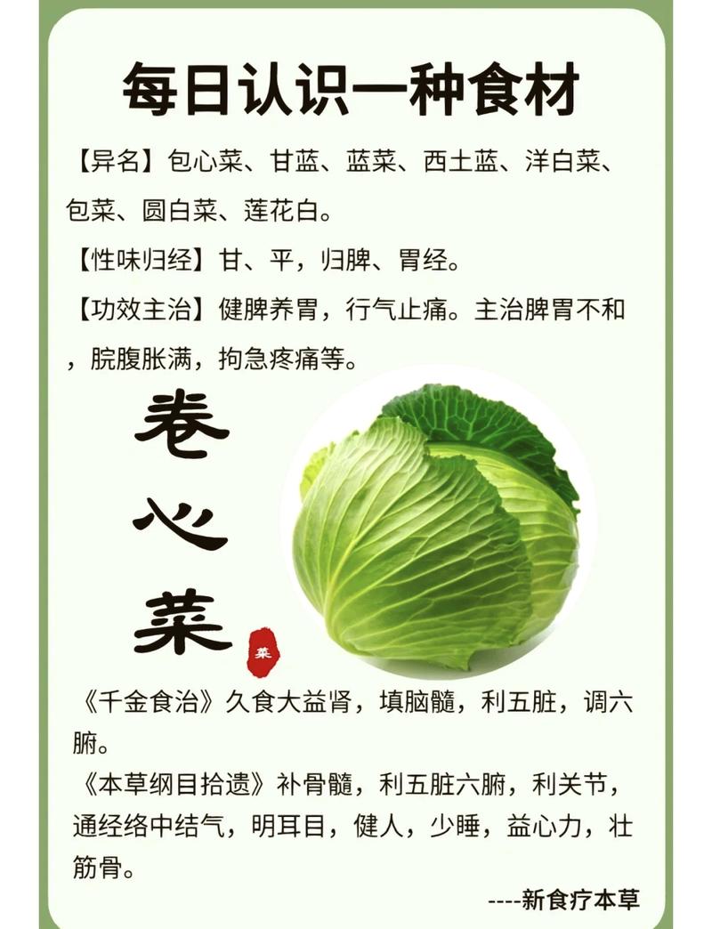梦到包菜是什么征兆？预示着什么好事或坏事？