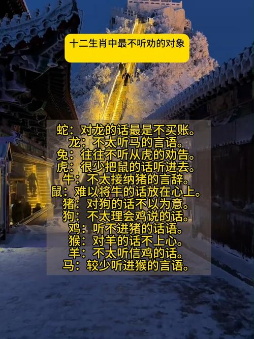 哪个生肖的人最不听人劝，劝不动？