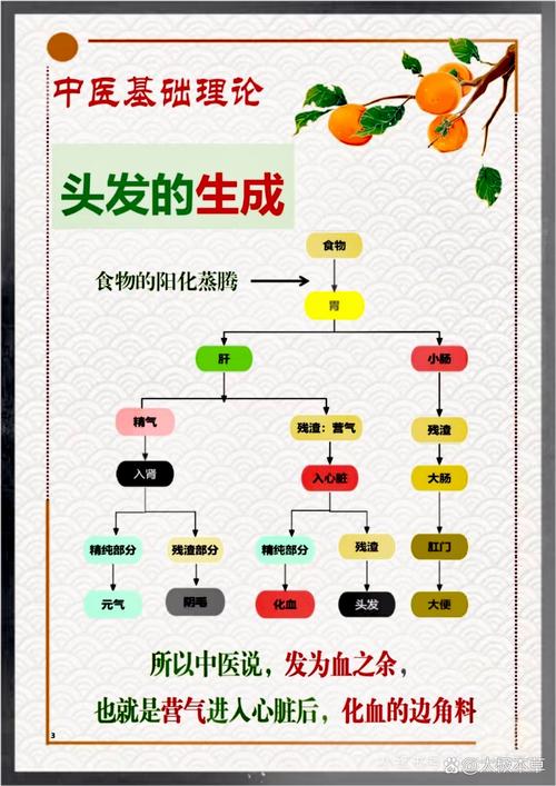 女人的头发在家里风水上究竟有何吉凶影响？