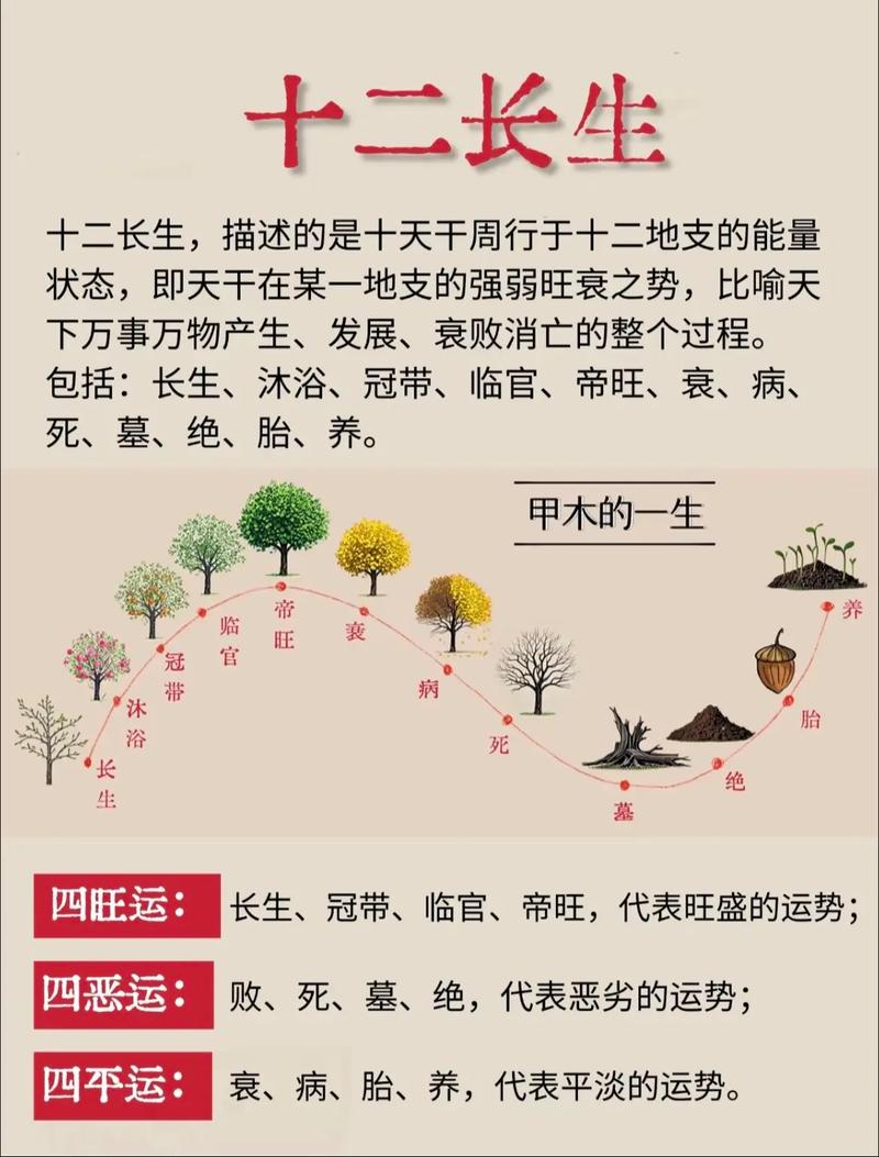 己土男和甲木女天干相配吗？他们的五行属性是否相宜？