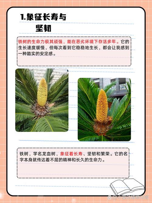 有哪些树木名字富有寓意？