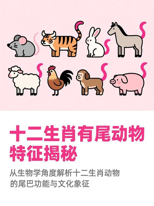 十二生肖里哪位动物既非男亦非女，尾巴特长？