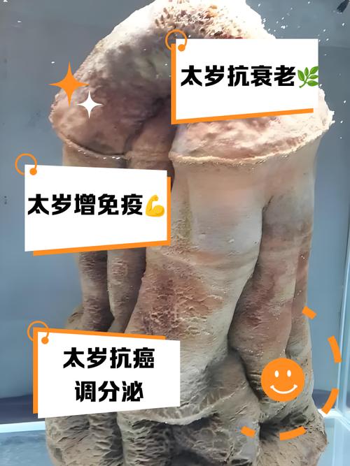 太岁在防癌抗癌方面有哪些具体作用？