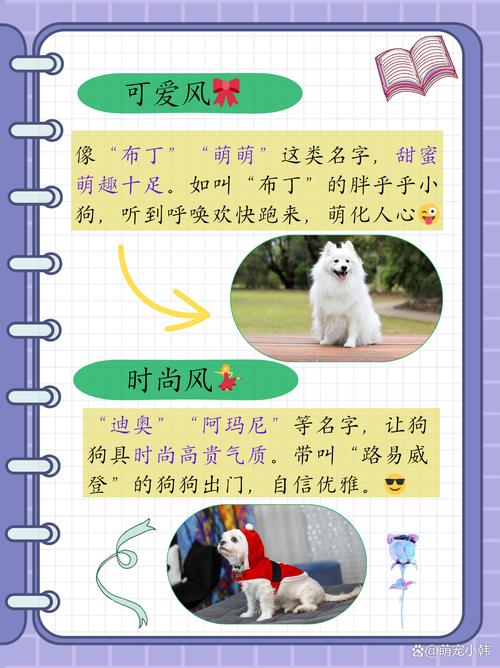 有哪些朗朗上口的狗狗名字，听起来特别顺口呢？