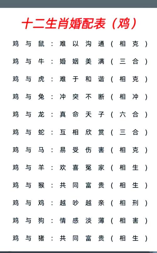 属猪的生肖和哪个生肖蕞匹配呢？