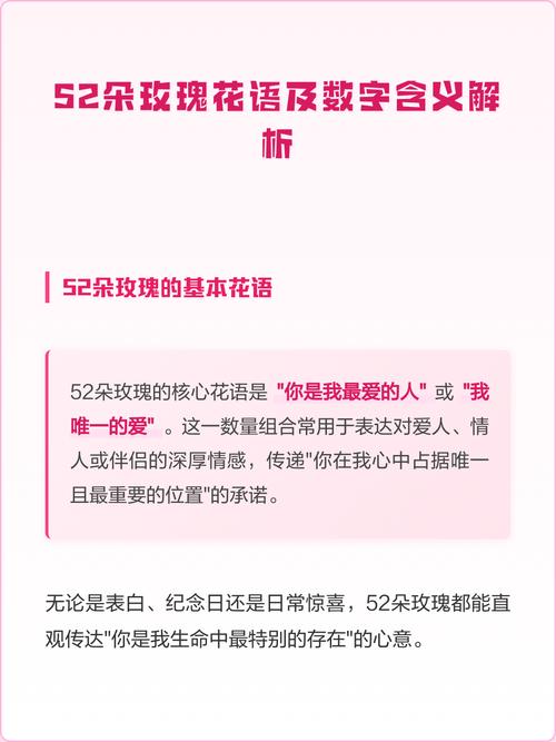 玫瑰花不同朵数分别代表什么含义？
