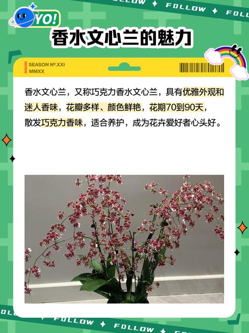 家里养什么香水花名字好听？