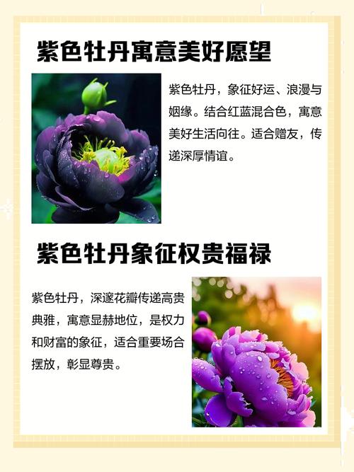 梦见花园里鲜花盛开是什么预兆或象征？