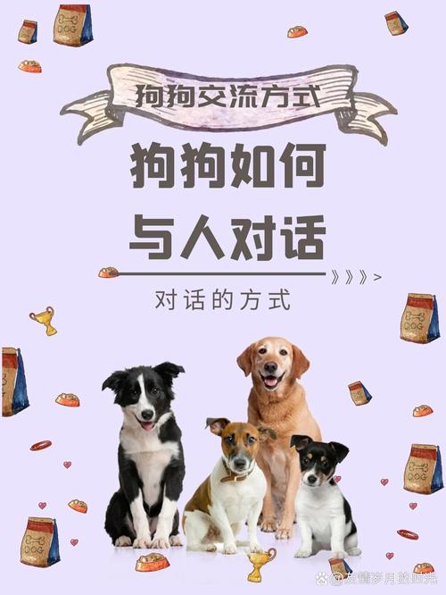 如何有效与属狗男性进行沟通和谈判？