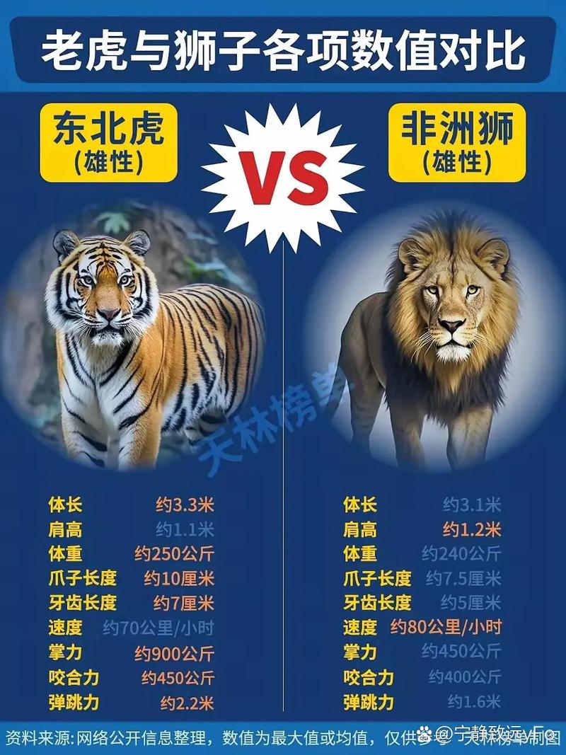 梦见动物园里的狮子老虎为何会逃出来这预示着什么含义？