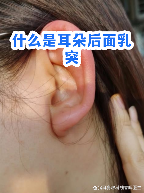 耳朵后面鼓起的骨头面相叫什么？