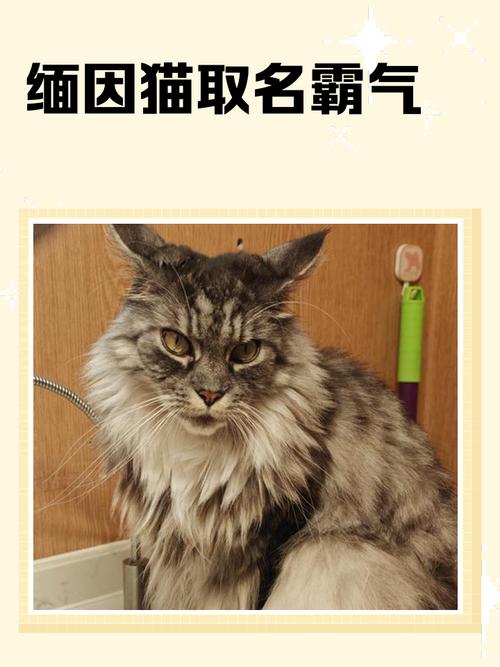 有哪些霸气拉风的宠物名字听起来特别霸气？