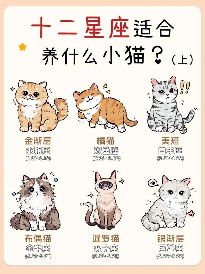 猫咪的十二星座中，生女孩的猫属于哪个星座呢？