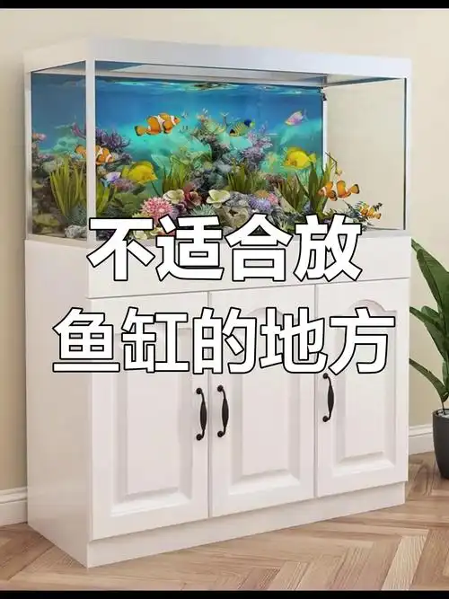 鱼缸在风水学中扮演什么角色？放置鱼缸有哪些风水上的讲究和注意事项？