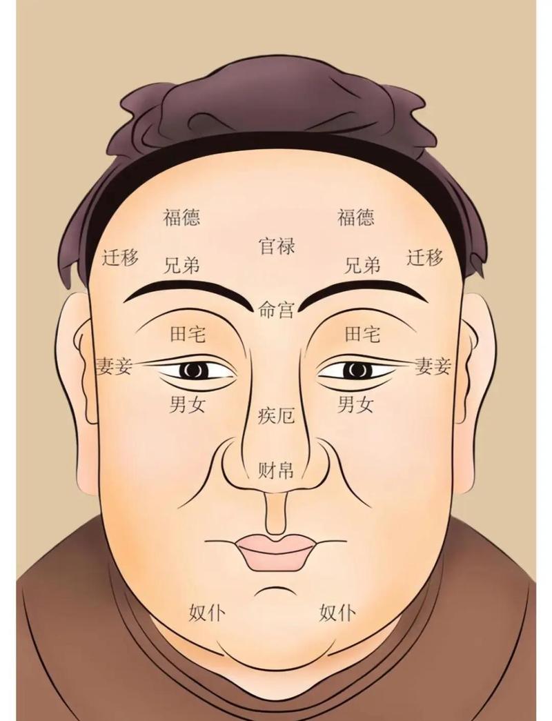 面相中天相和地相是什么？倒霉相男人面相图片有哪些？