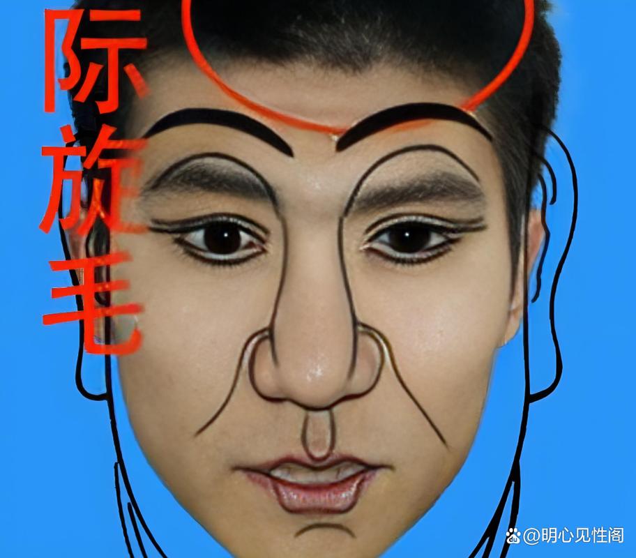 眉毛之间长旋是什么意思？有什么特殊含义吗？