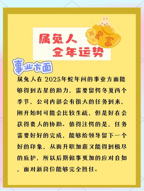 属兔人的一生运势究竟如何？