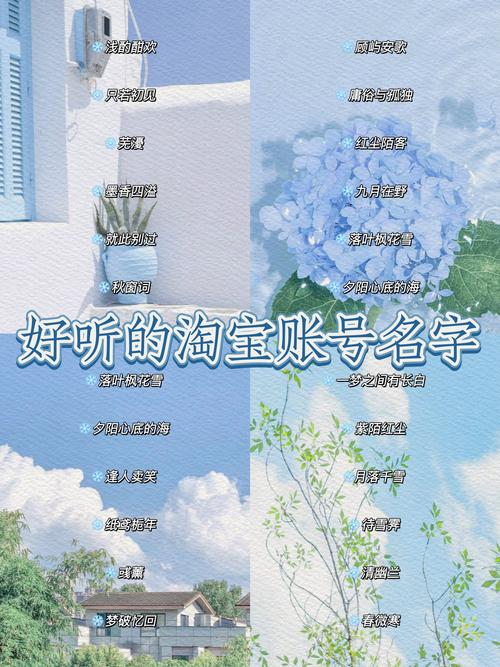 有哪些独一无二的淘宝昵称可以用来形容男生？