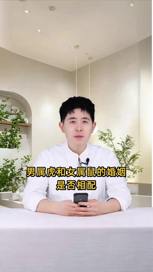 女属鼠男属虎结婚合适吗？他们的婚配关系能长久稳定吗？