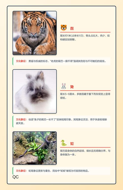 一枝独秀指的是哪个生肖动物，它的尾巴特别长呢？