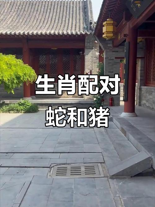 生肖猪与蛇的婚姻关系如何，是否为蕞佳匹配？