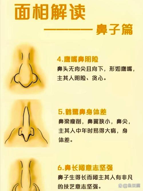 鼻头扁平人的面相预示了什么命运？